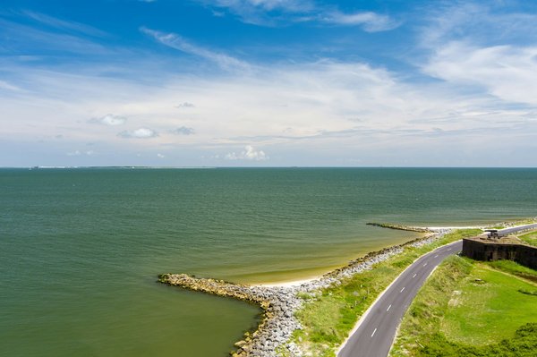 Quelles croisières proposent des excursions pour observer les dauphins en Floride?